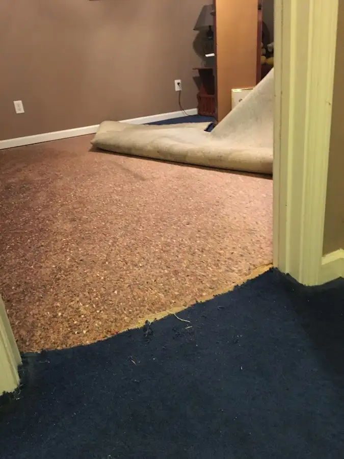 Carpet pad removal revealing water damage during Drying & Dehumidification in Three Lakes