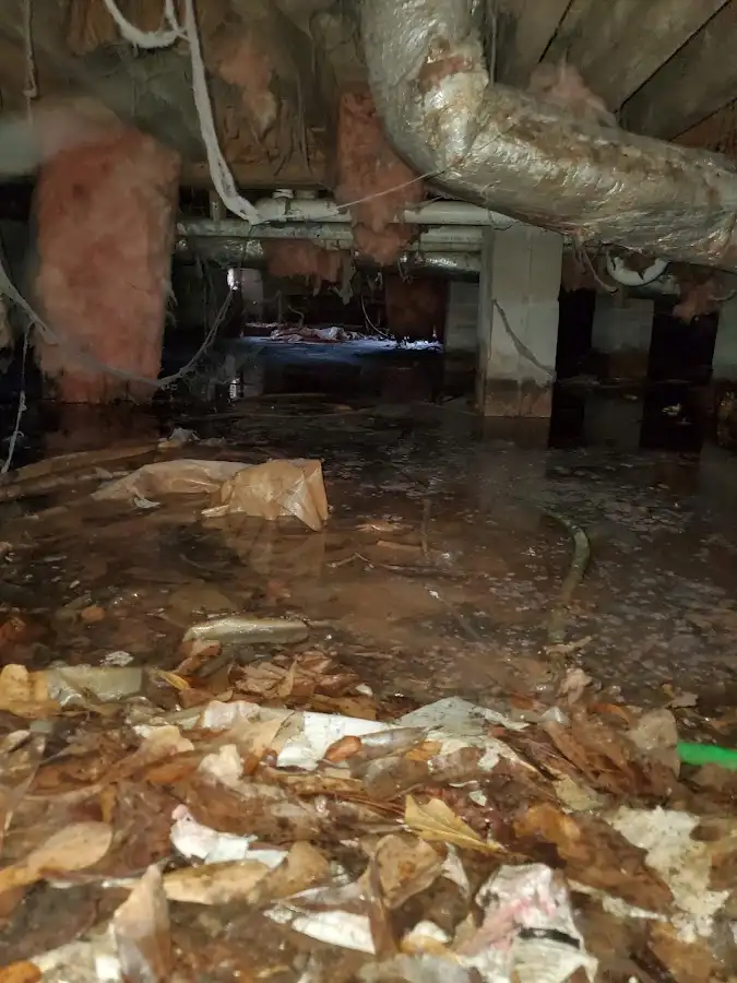 Crawl space flood assessment for Leak Detection & Repair in Three Lakes