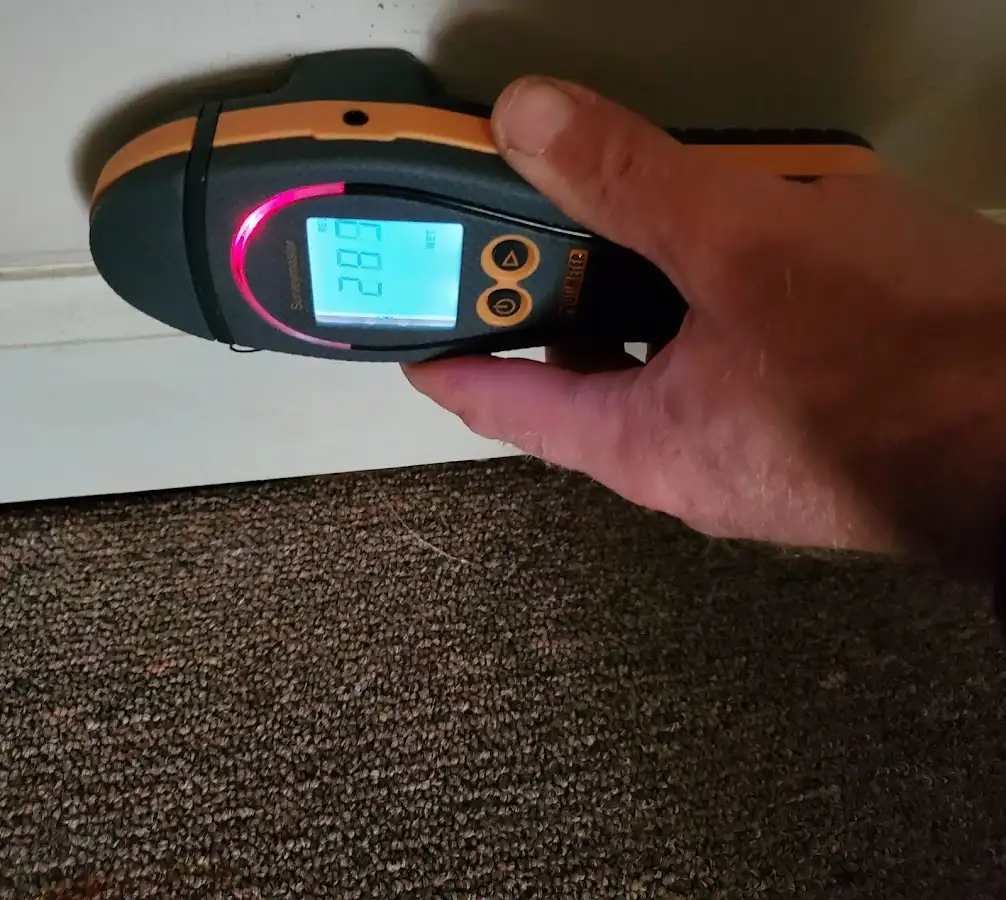 Moisture detection at baseboard during Mold Inspection & Testing in Three Lakes